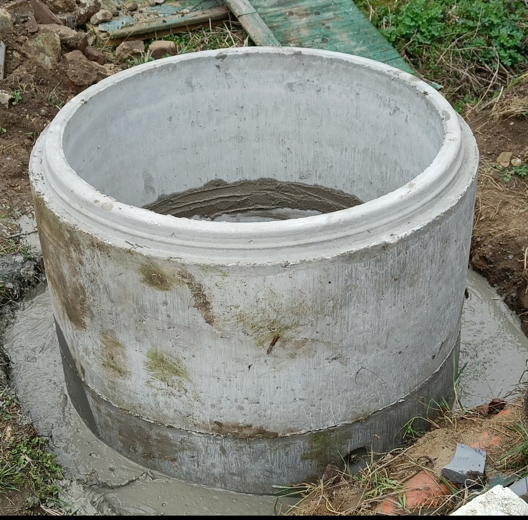 screenshot 2026 02 12 19 03 50 517 com.google.android.apps.photos edit