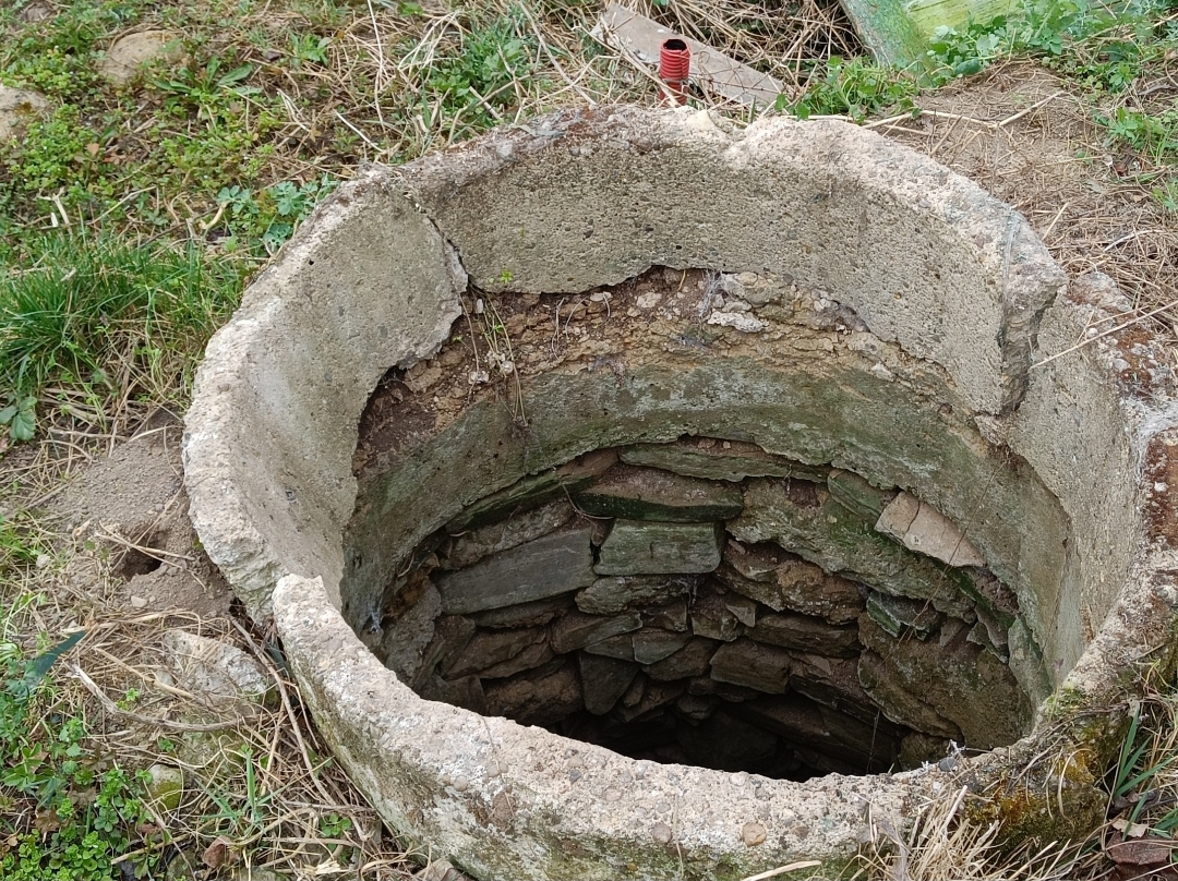 screenshot 2026 02 12 19 04 05 914 com.google.android.apps.photos edit