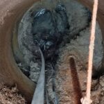 studna do které rostou kořeny