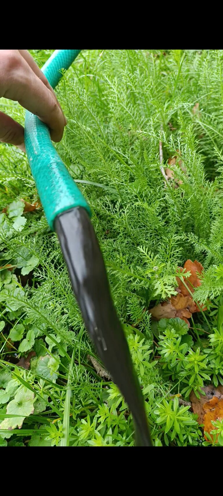 screenshot 2026 04 09 18 25 43 854 com.google.android.apps.photos